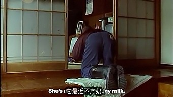 Noriko Sakai'S Heartbreaking Performance As A Lone Cow In A Japanese Movie